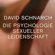 Die Psychologie sexueller Leidenschaft